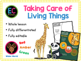 Year 1 Unit 2 - Caring for Our World (Wider World)