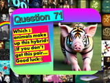 Mega Science Quiz