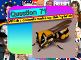 Ultimate Summer Quiz 2023