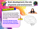 Parenting, Pregnancy + Brain Development RSHE PSHE Lesson