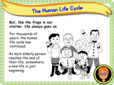 The Human Life Cycle - KS1/Year 2
