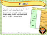 Boys' Puberty PSHE (Year 5)