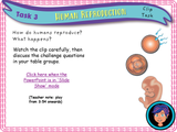 Human Reproduction - Sex and Genitalia