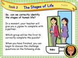 The Human Life Cycle - KS1/Year 2