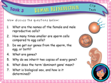Human Reproduction - Sex and Genitalia