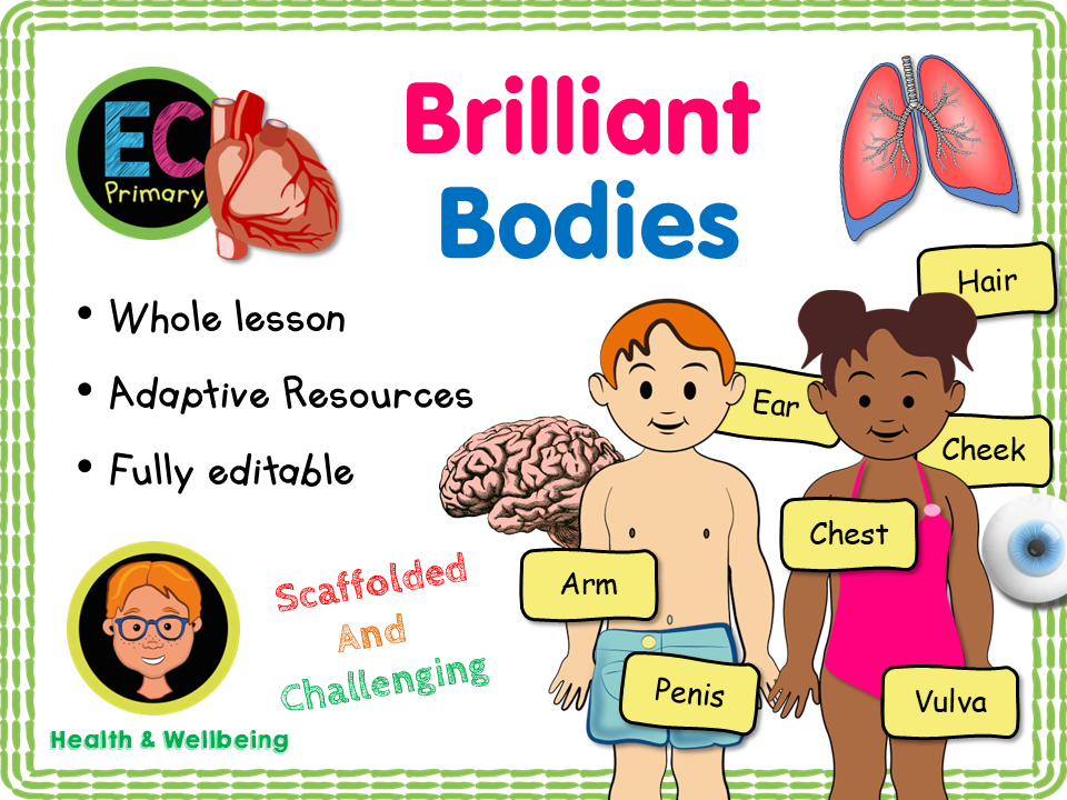 The Human Body - Naming Body Parts KS1/Year 2