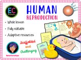 Human Reproduction - Sex and Genitalia