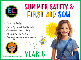 Year 6 Unit 7 - Summer Safety (FREE SOW)