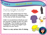 Risk, dares and online challenges