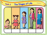 The Human Life Cycle - KS1/Year 2