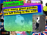End of Year Summer Quiz 2025