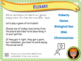 Puberty and Our Genes - Year 6