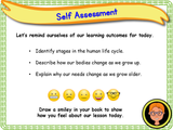The Human Life Cycle - KS1/Year 2