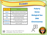 Puberty and Our Genes - Year 6