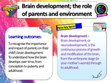 Parenting, Pregnancy + Brain Development RSHE PSHE Lesson