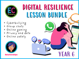 Year 6 Unit 2 - Digital Resilience (Relationships)