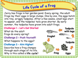 The Human Life Cycle - KS1/Year 2