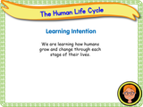 The Human Life Cycle - KS1/Year 2