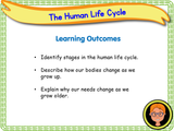 The Human Life Cycle - KS1/Year 2