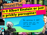 Mega Science Quiz