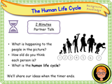 The Human Life Cycle - KS1/Year 2