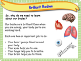 The Human Body - Naming Body Parts KS1/Year 2
