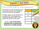 Puberty and Our Genes - Year 6