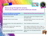 Contraception + Preventing STIs and Pregnancy (2 hour PSHE lesson)
