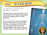 Puberty and Our Genes - Year 6