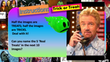 Halloween Quiz