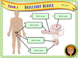 Growing up - an introduction to boys' puberty (Year 4)