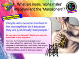 *5 Year Pack - Complete Secondary PSHE and RSE KS3, KS4 (PLUS STATUTORY CITIZENSHIP + TUTOR TIME)*
