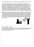 Tutor Time Activity Booklet