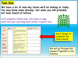 UK Constitution AQA GCSE