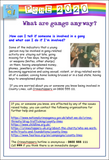Gangs and Teen Crime Workbook / Home Learning PSHE