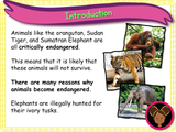 Caring for living things - KS1 - Year 1