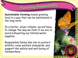 Climate change, Sustainability and Food Security