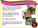 Caring for living things - KS1 - Year 1