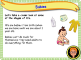 How We Grow - KS1 - Year 1