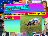 Christmas Quiz / End of Year Quiz 2022