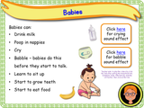 How We Grow - KS1 - Year 1