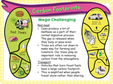 Carbon Footprints