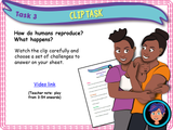 *NEW Through School Pack - Complete Primary, Secondary and KS5*