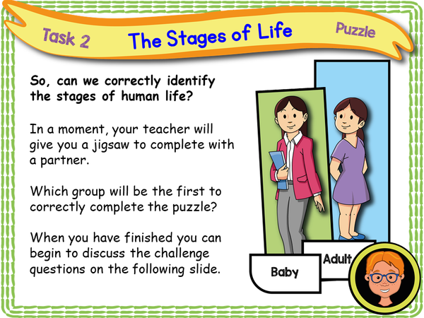 Human Life Cycle Puzzle