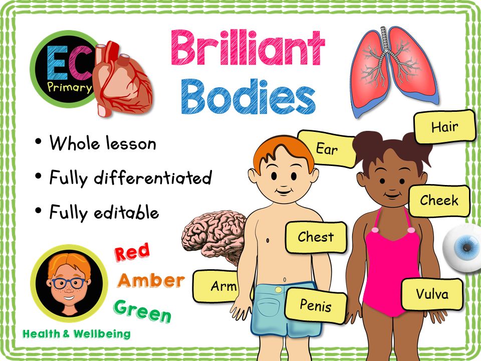 The Human Body - Naming Body Parts KS1/Year 2
