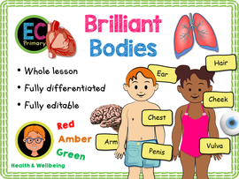 The Human Body - Naming Body Parts KS1/Year 2