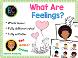 What Are Feelings? - KS1 - Year 1