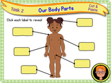 The Human Body - Naming Body Parts KS1/Year 2