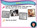 Asking for permission KS1 - Year 1