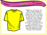 Fast Fashion